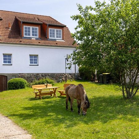 Ferienwohnung "Flori'S Ponyhof" Kröpelin 외부 사진